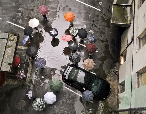 F..k The Rain Umbrella (2).jpg